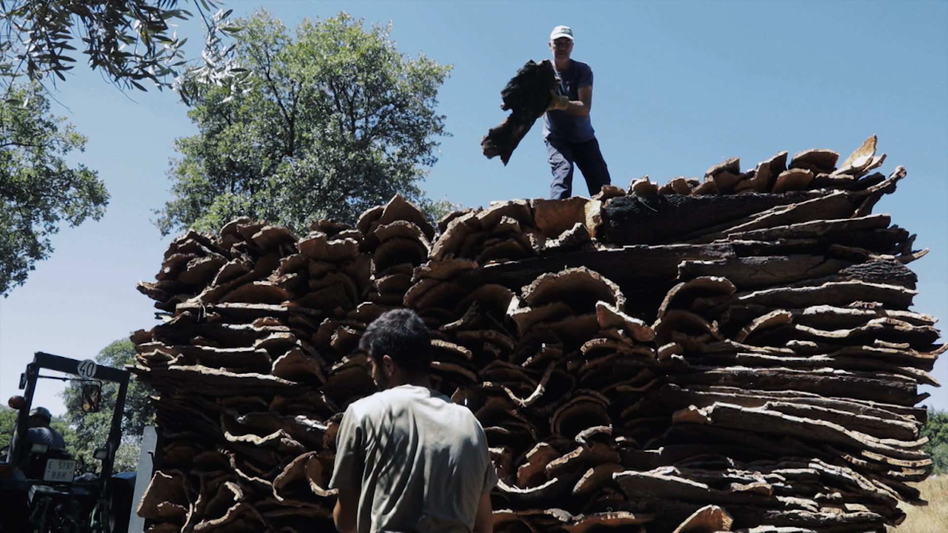 Trabajadores preparando planchas de corcho tras la saca