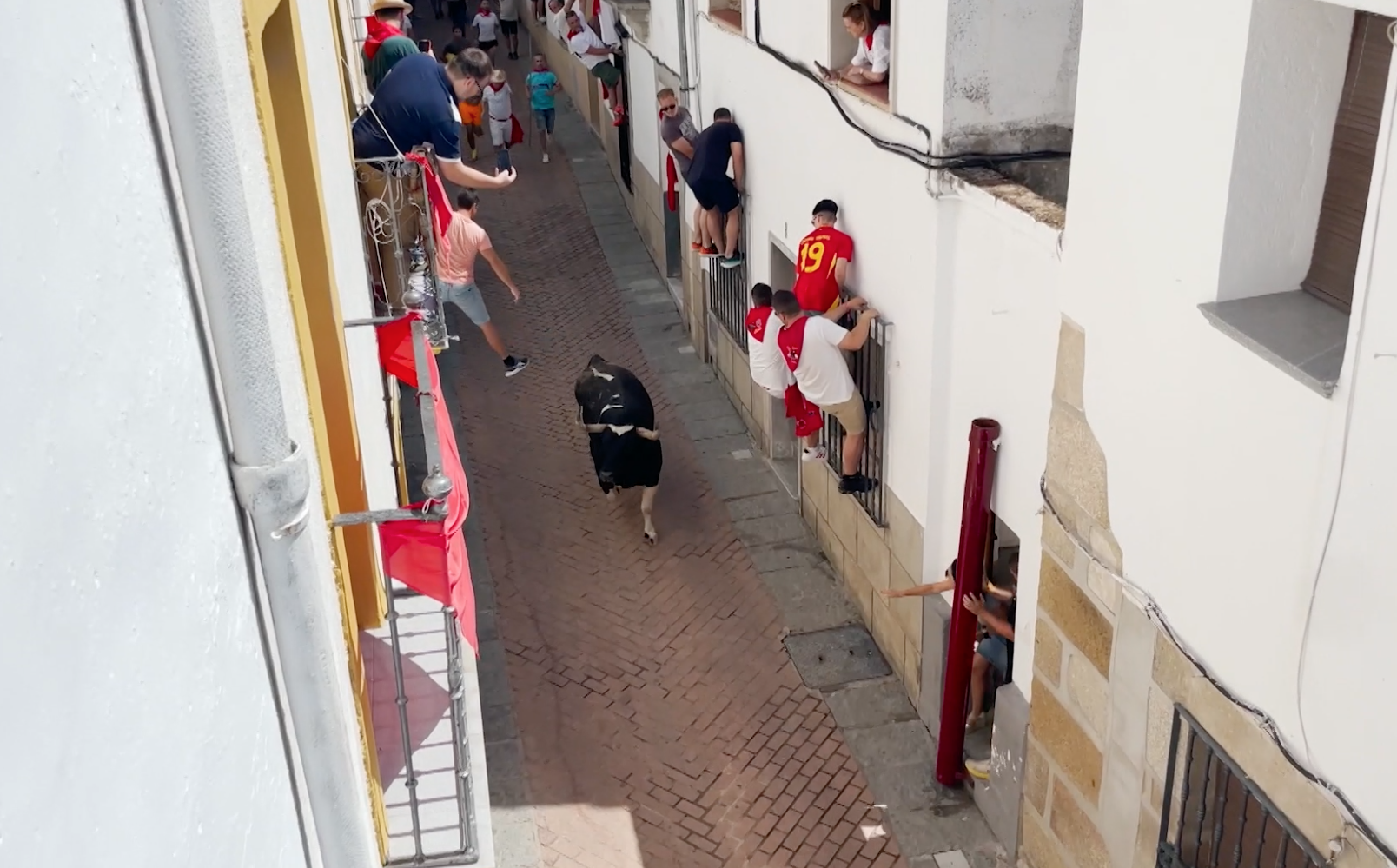 Sanjuanes, San juan Coria, Encierros, Toros, Junta de Defensa, Tierra de Toros, Juan Bazaga, Canal EXtremadura