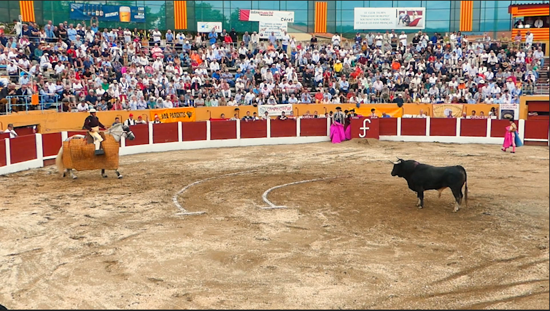 Ceret Francia, Homenaje Barcial, 100 años ganadería Barcial, suerte de varas, Feria taurina Ceret, Juan Bazaga, Tierra de Toros, Canal Extremadura