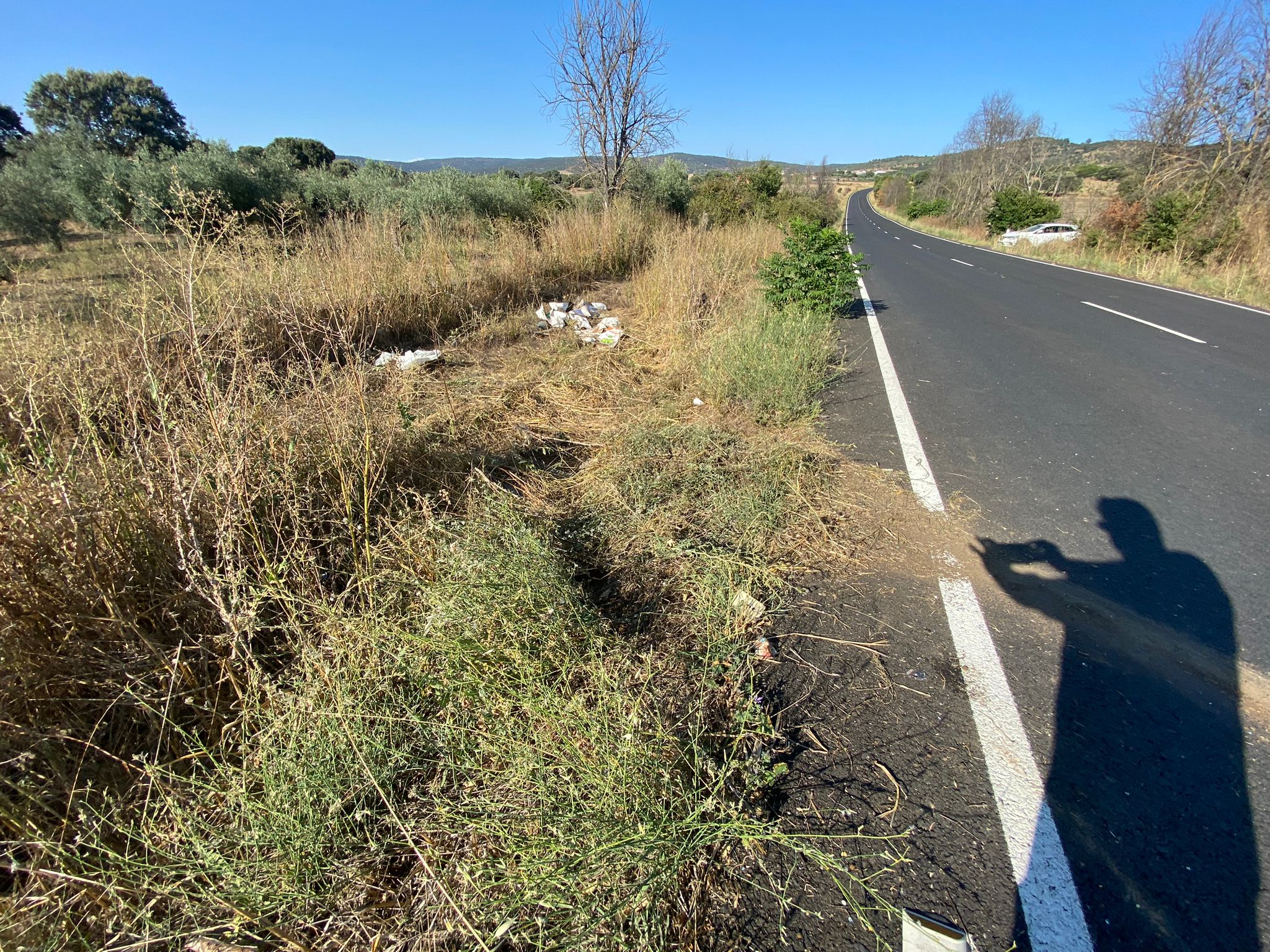 Madroñera