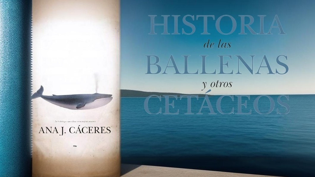 Composición con la portada