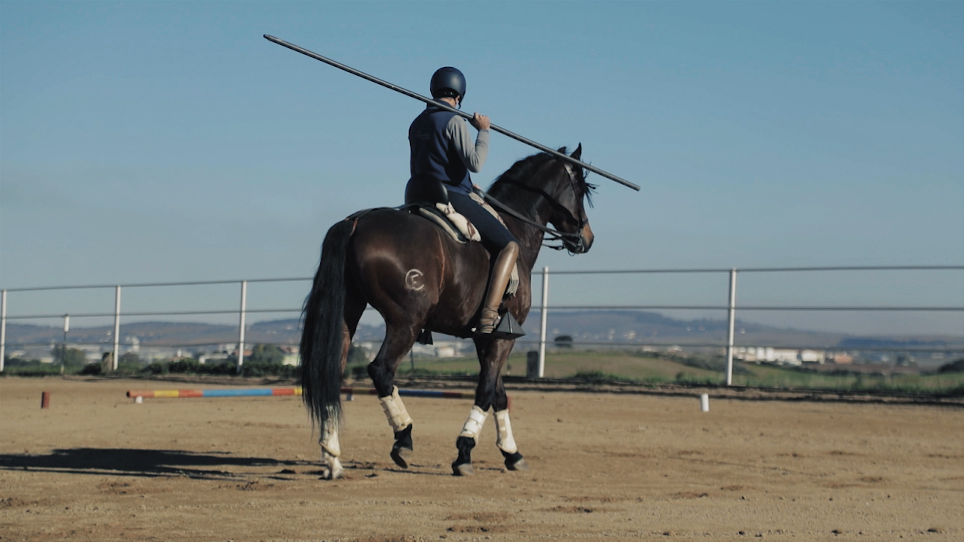 Caballo en un entrenamiento en un centro ecuestre