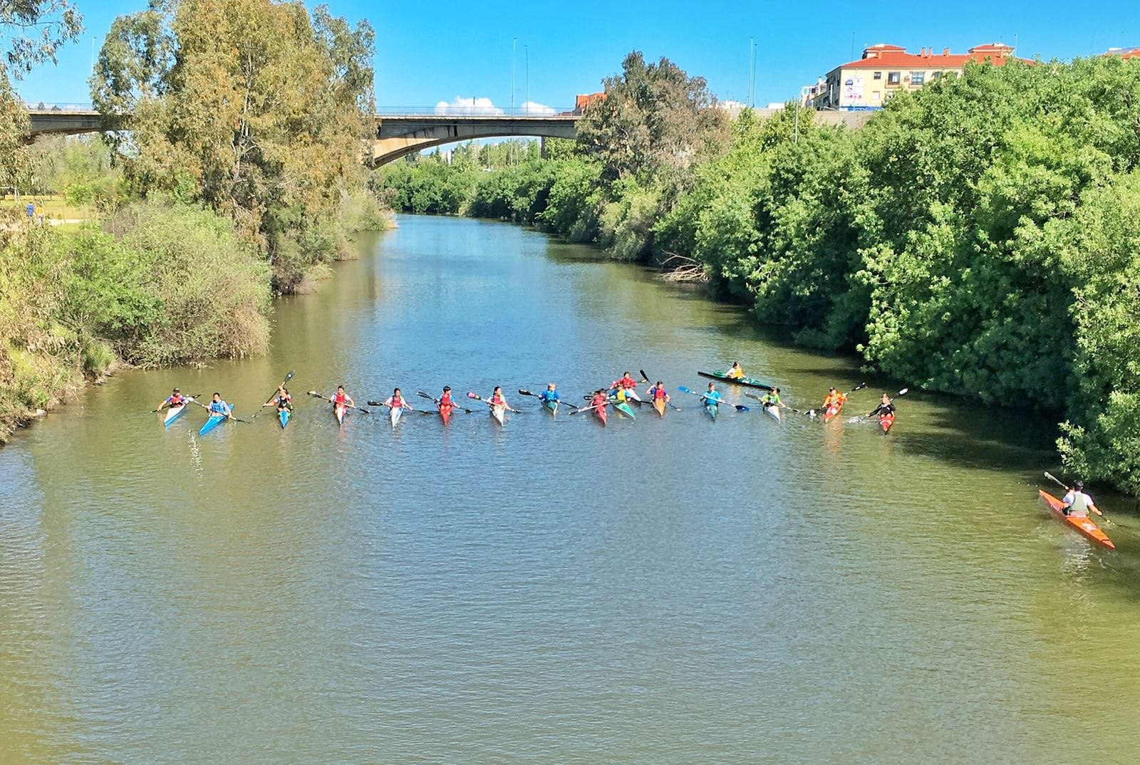 Palistas de Extremadura