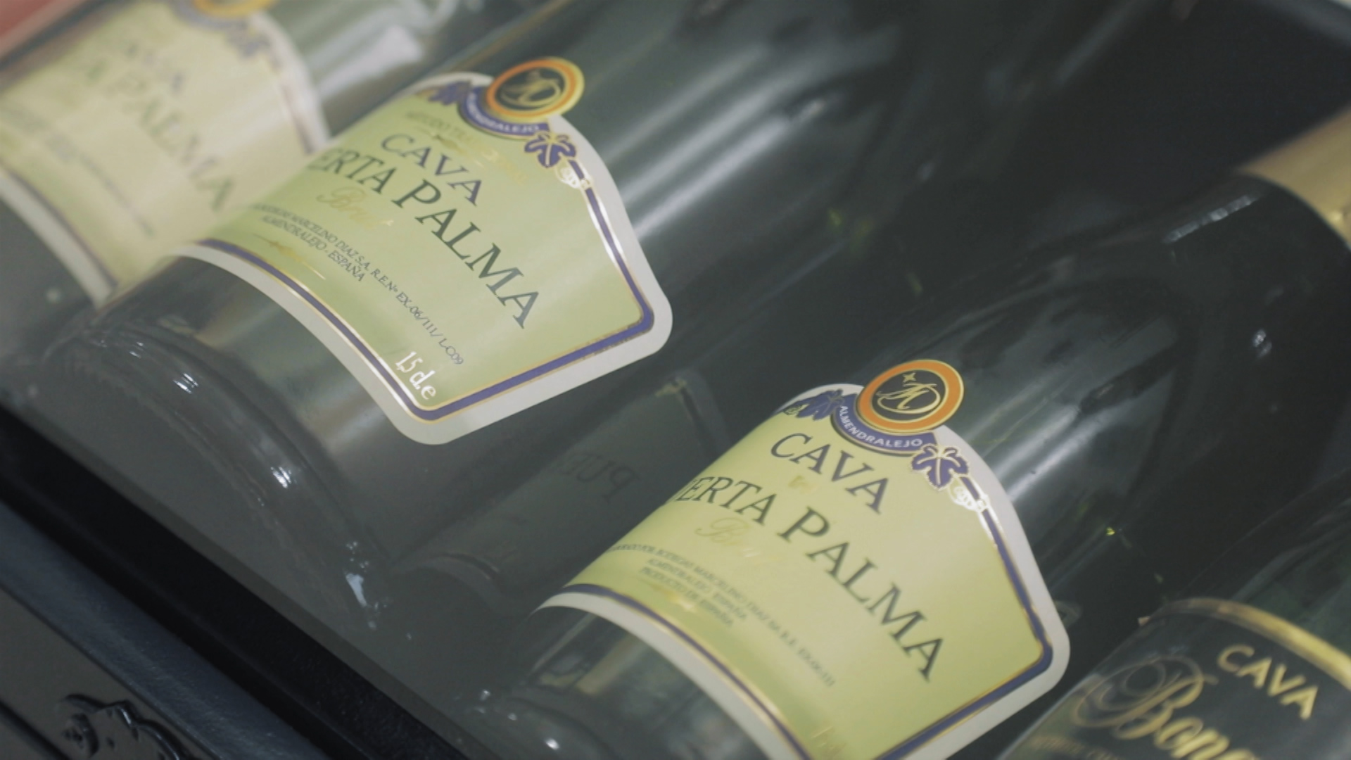 Botellas de cava expuestas en un museo