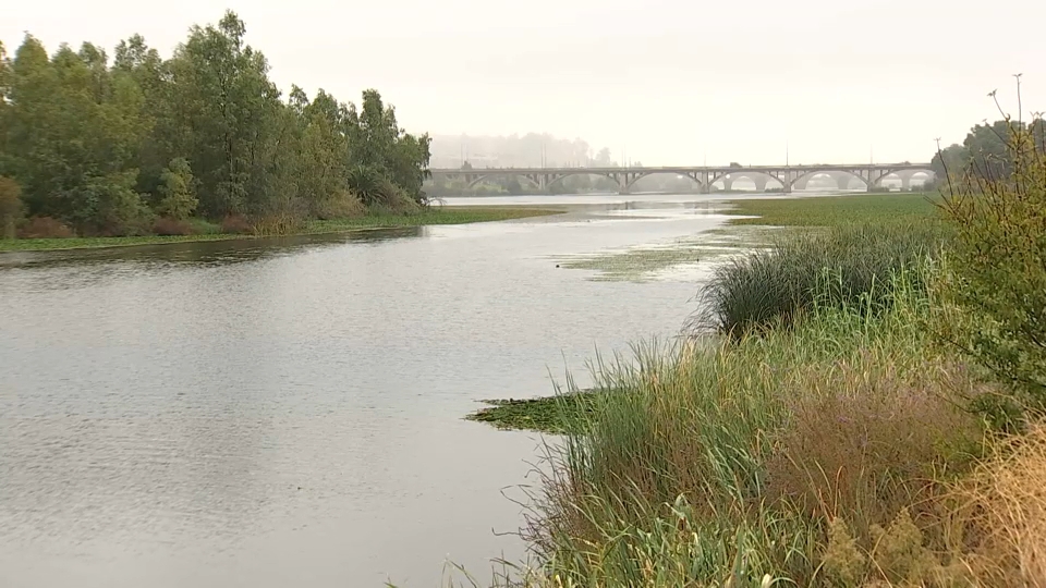 El inicio de las obras para erradicar el nenúfar del Guadiana se mantiene en otoño con un importe de 6,5 millones