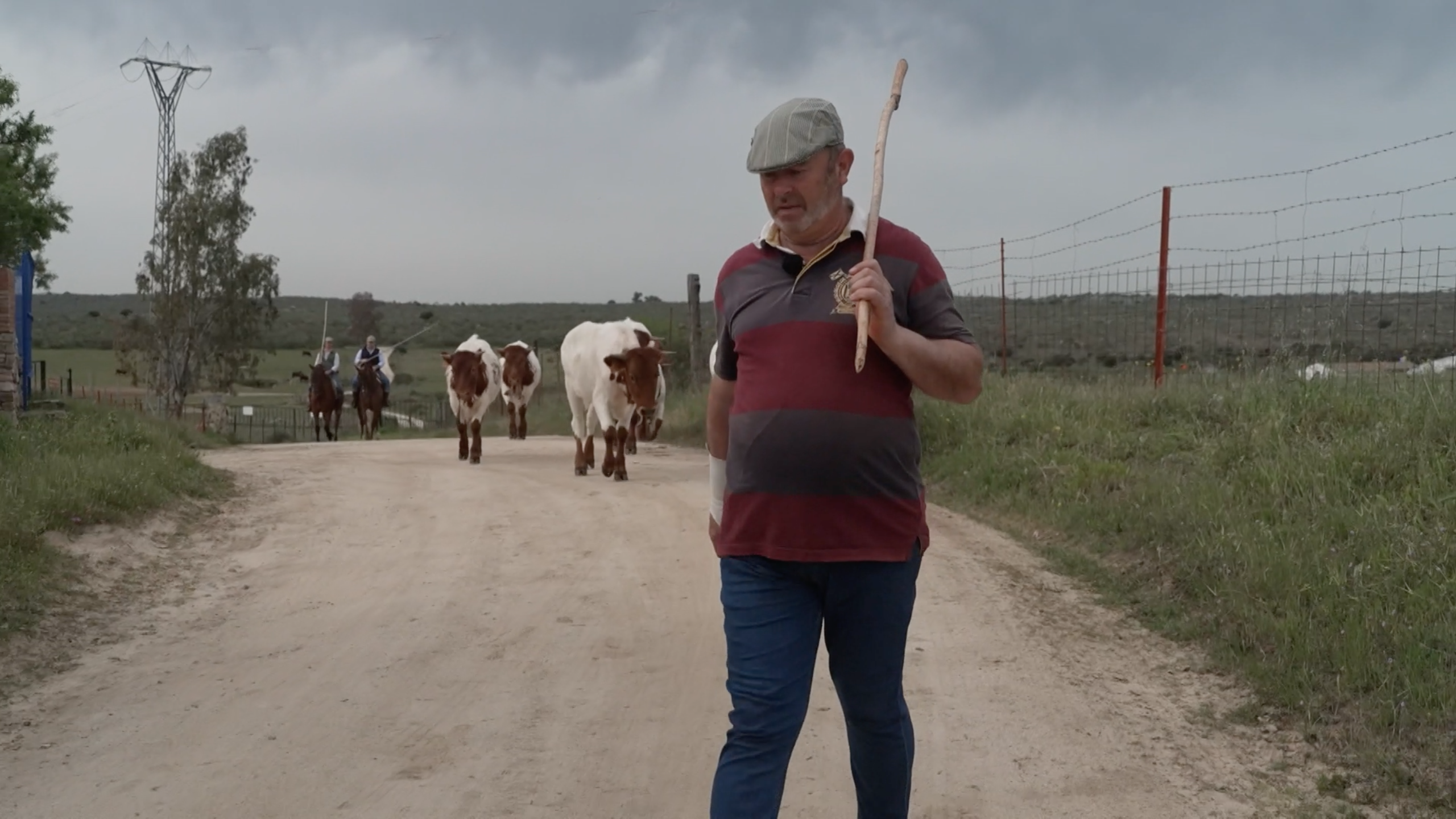 Parada de Bueyes, Francisco Cáceres, Tierra de Toros, Juan Bazaga, Canal Extremadura