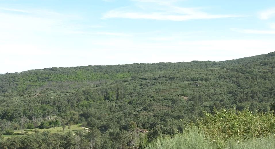 Terrenos en Sierra de Gata