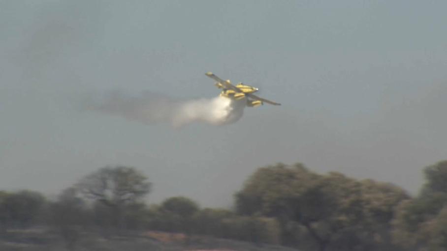 Estabilizado el incendio forestal en Badajoz