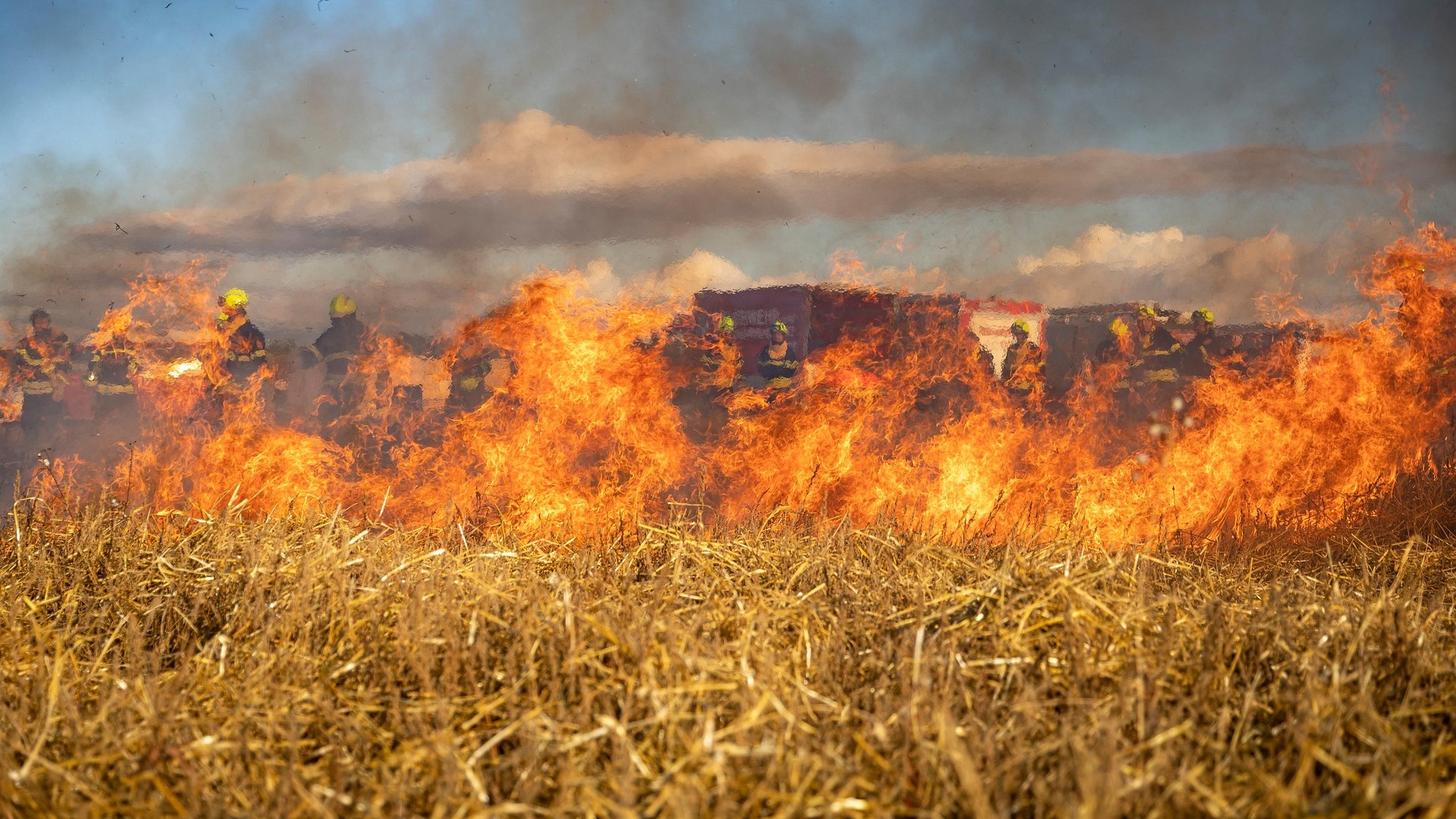 Imagen de unos terrenos incendiados