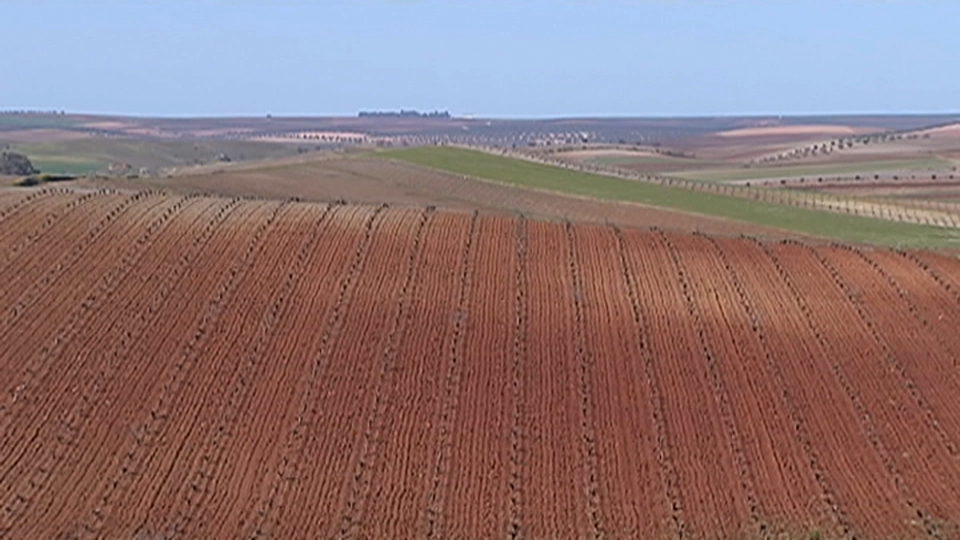 Tierra de Barros