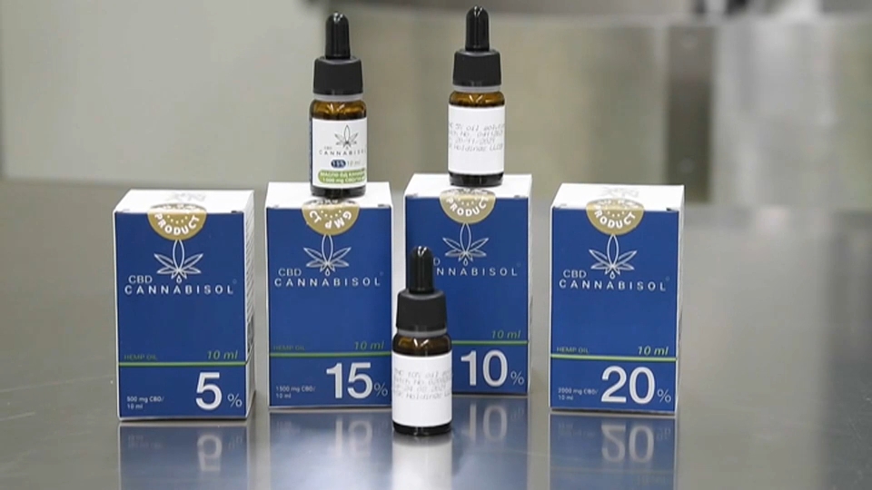 Cannabis medicinal