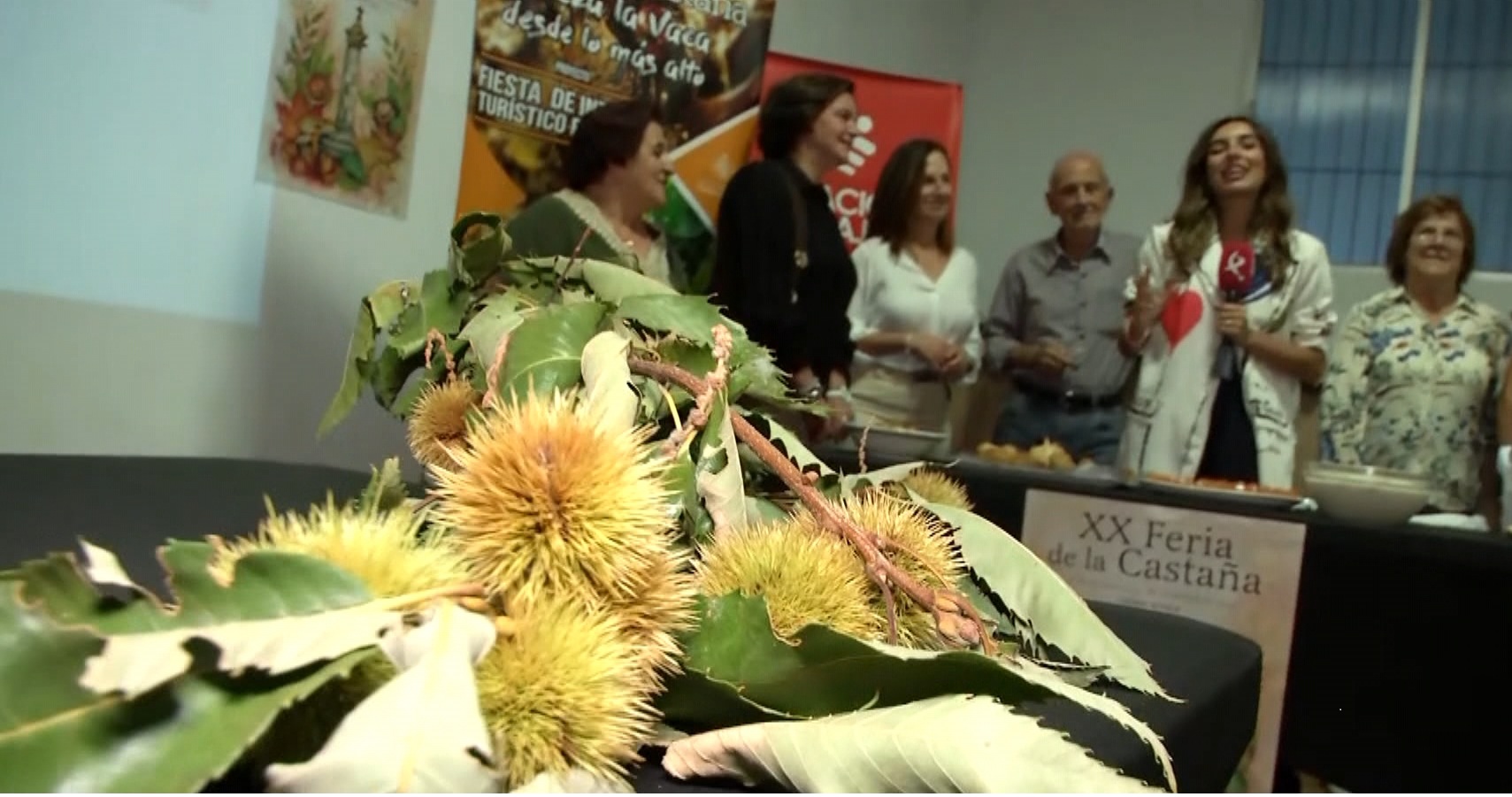 Edición número XX de la Feria de la castaña de Cabeza la Vaca