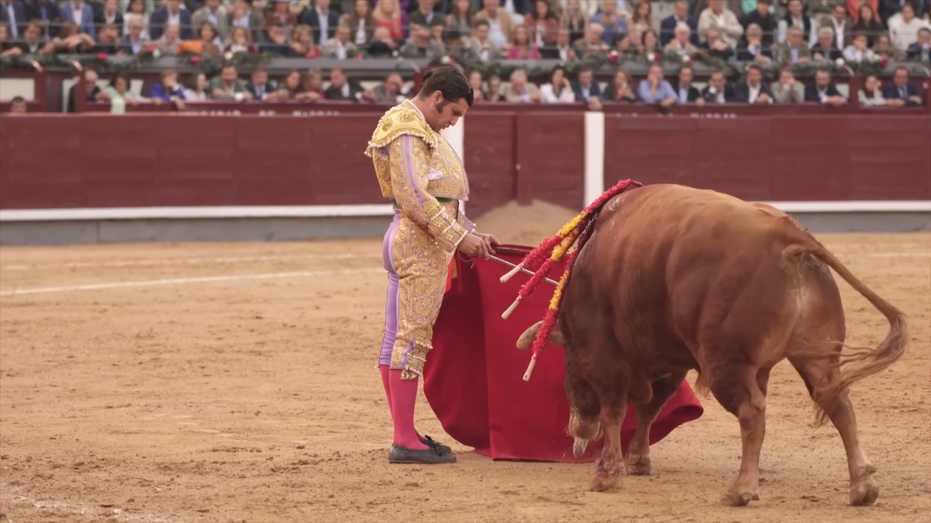 Morante de la Puebla,Puerta Grande, Juan Bazaga, Tierra de Toros, Canal Extremadura