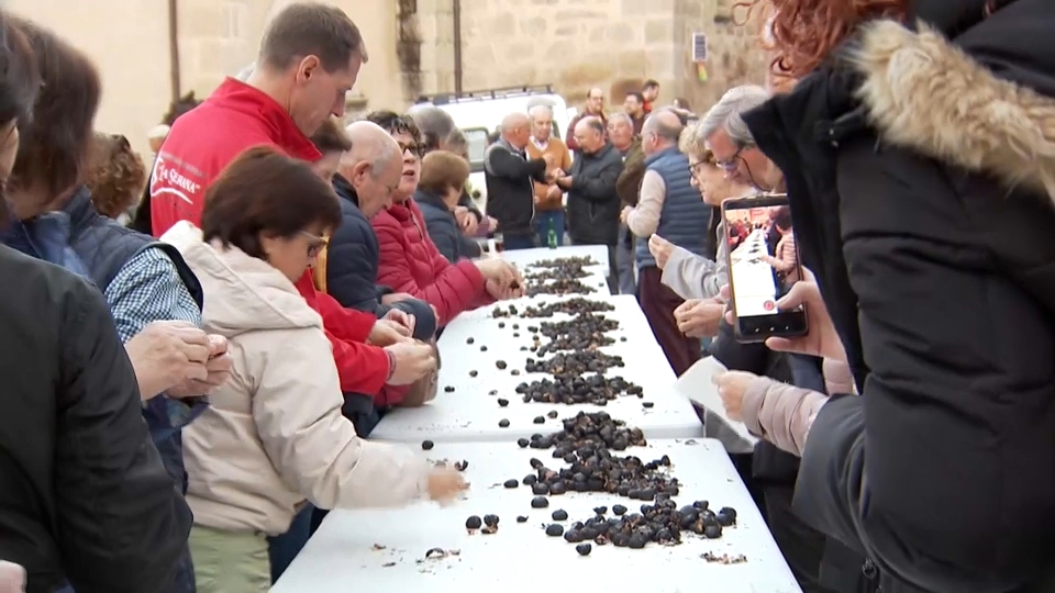 Celebración de As Borrallás en Eljas