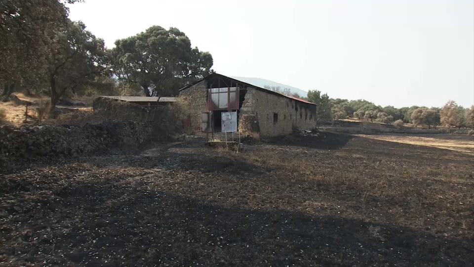 Zona afectada por los incendios del verano de 2025 - Imagen de archivo.