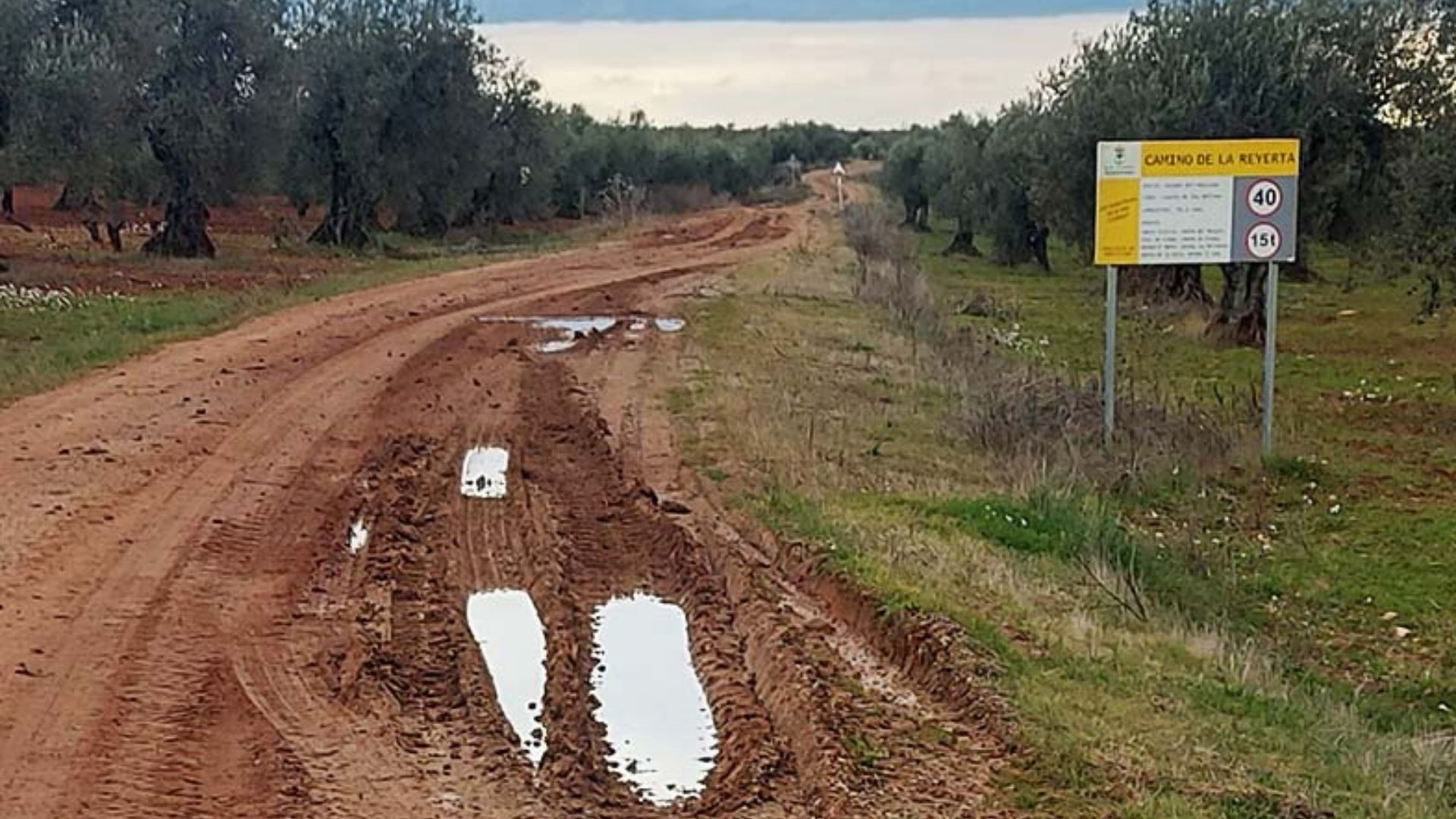 Camino rural de titularidad municipal