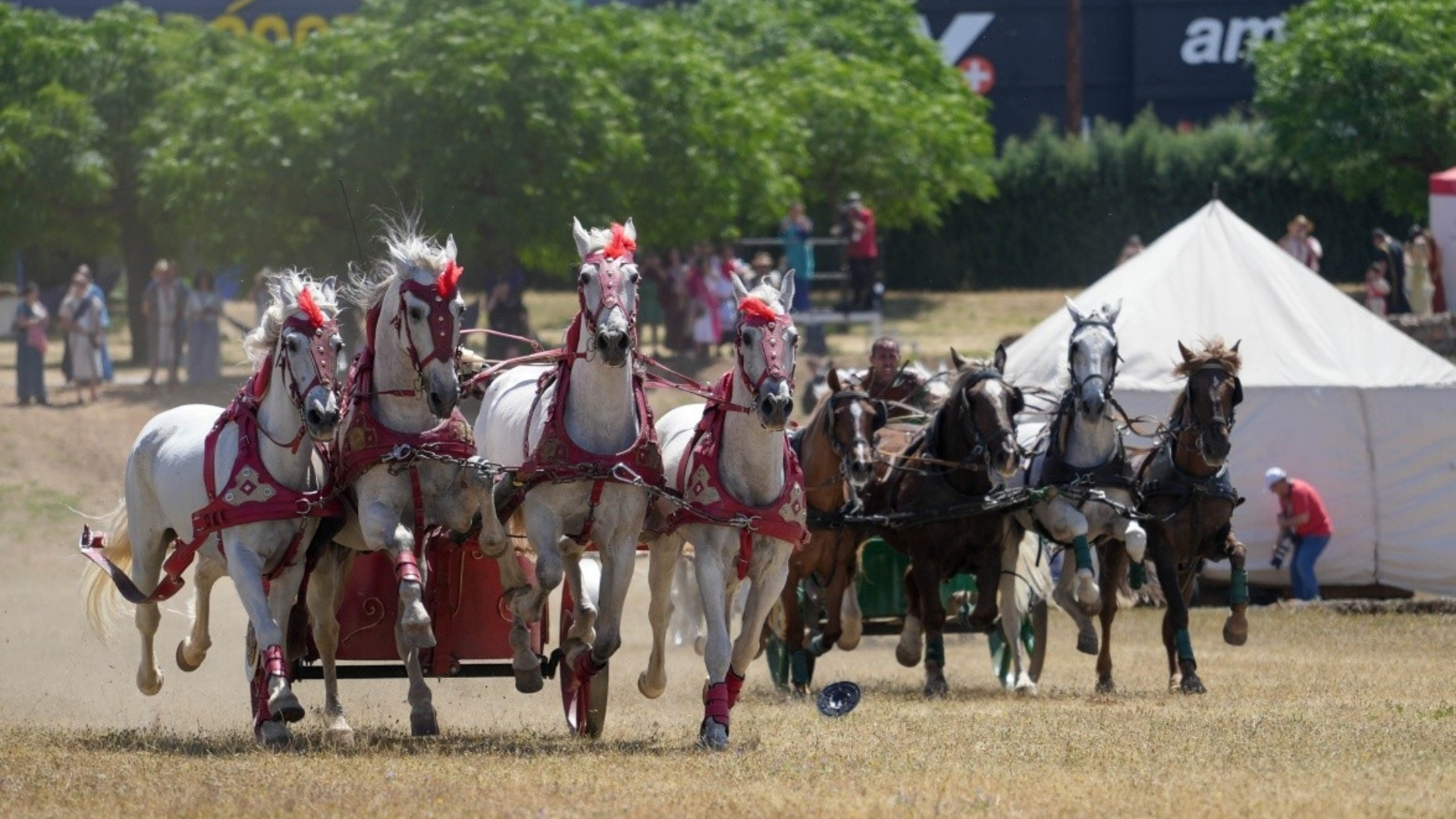 Cuádrigas en el Circo Romano