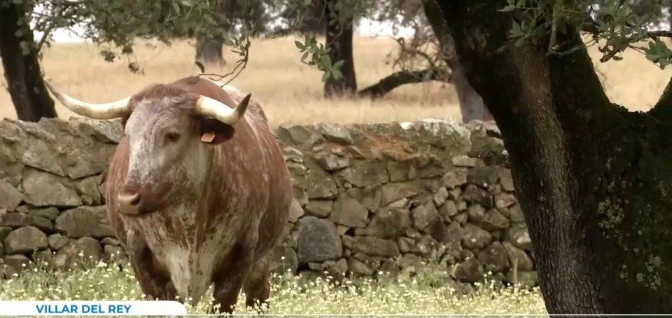Un ecosistema único que da como resultado un producto de alta calidad