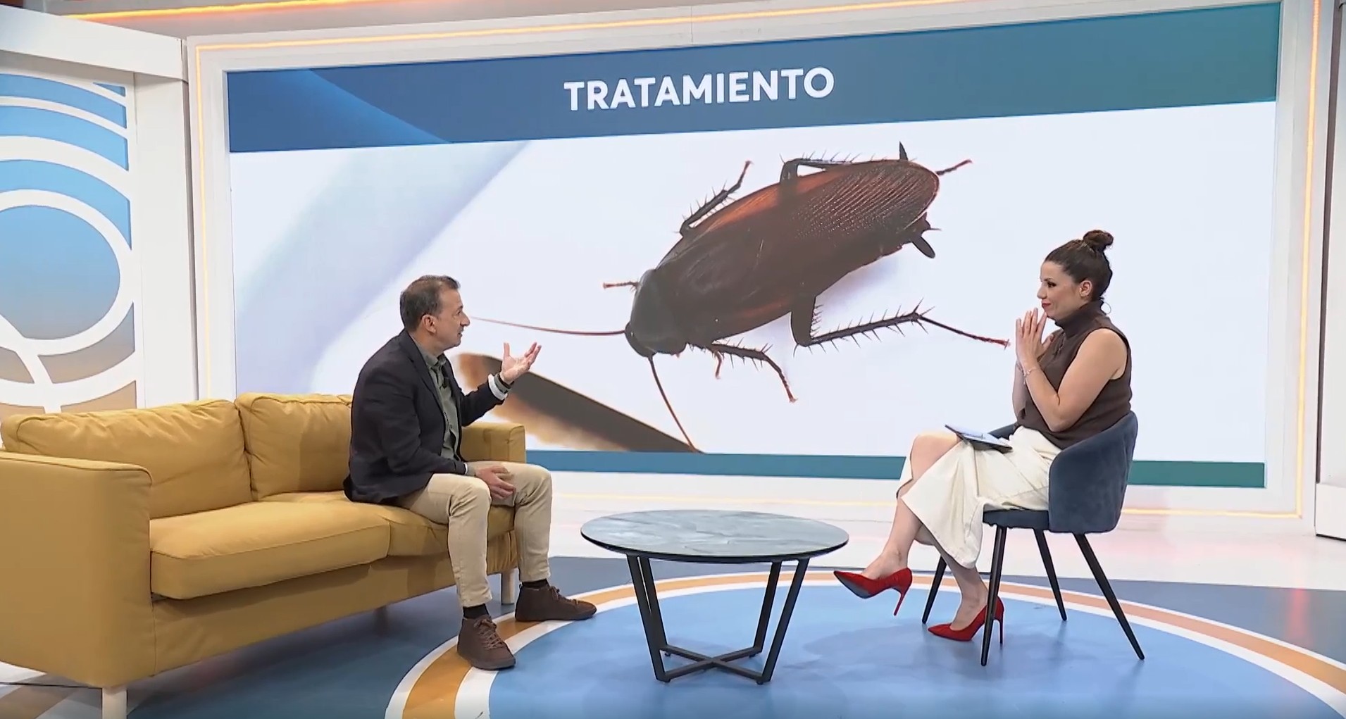 Evitar cucarachas en casa
