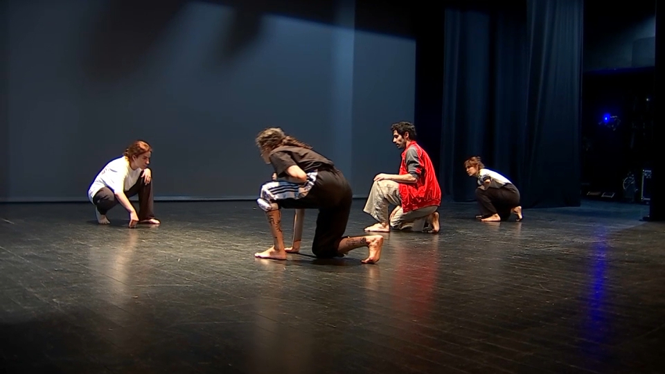 Profesionales de danza, reunidos en Mérida