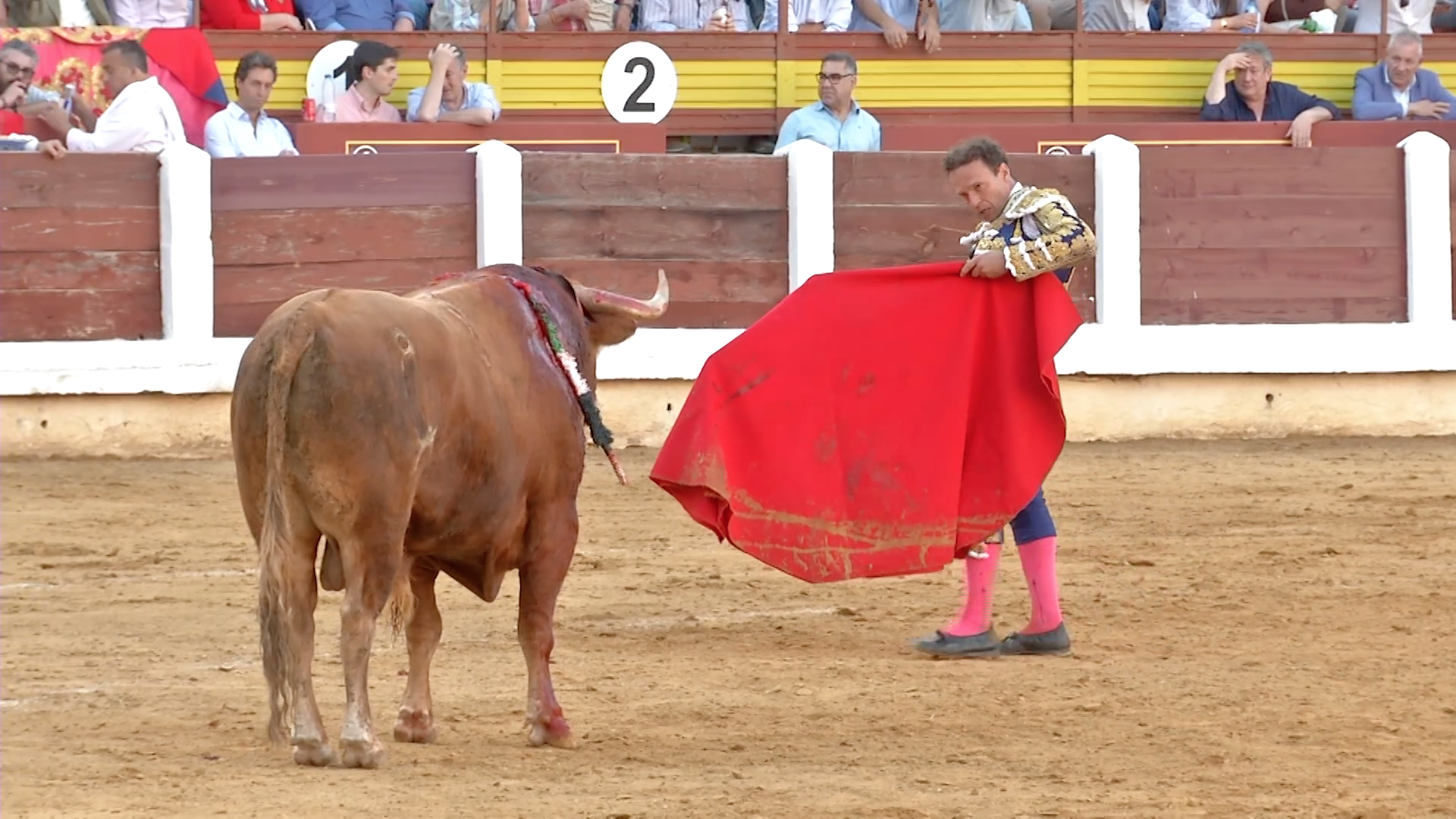 Mérida, Tierra de Toros, Canal Extremadura, Juan Bazaga