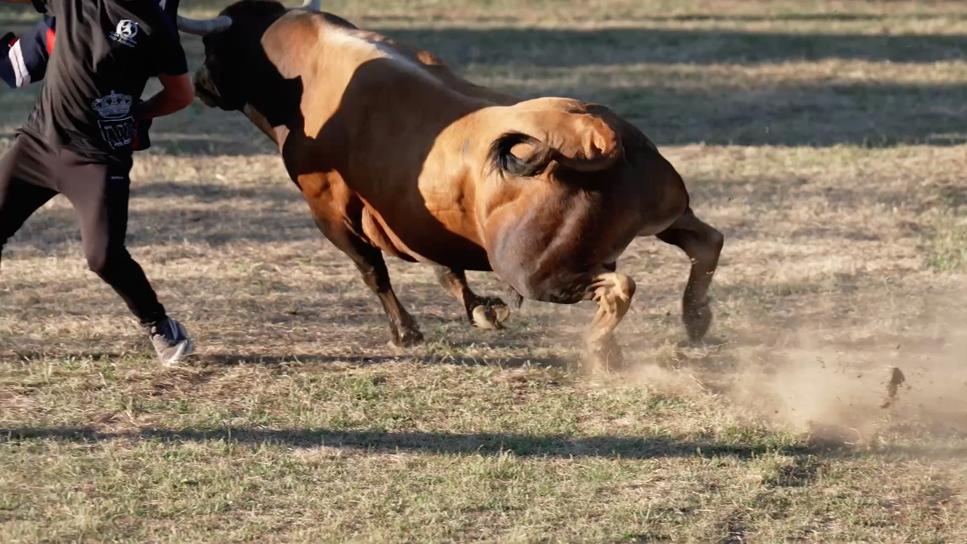 Vegaviana, Festejos Populares, Tierra de Toros, Canal Extremadura, Juan Bazaga