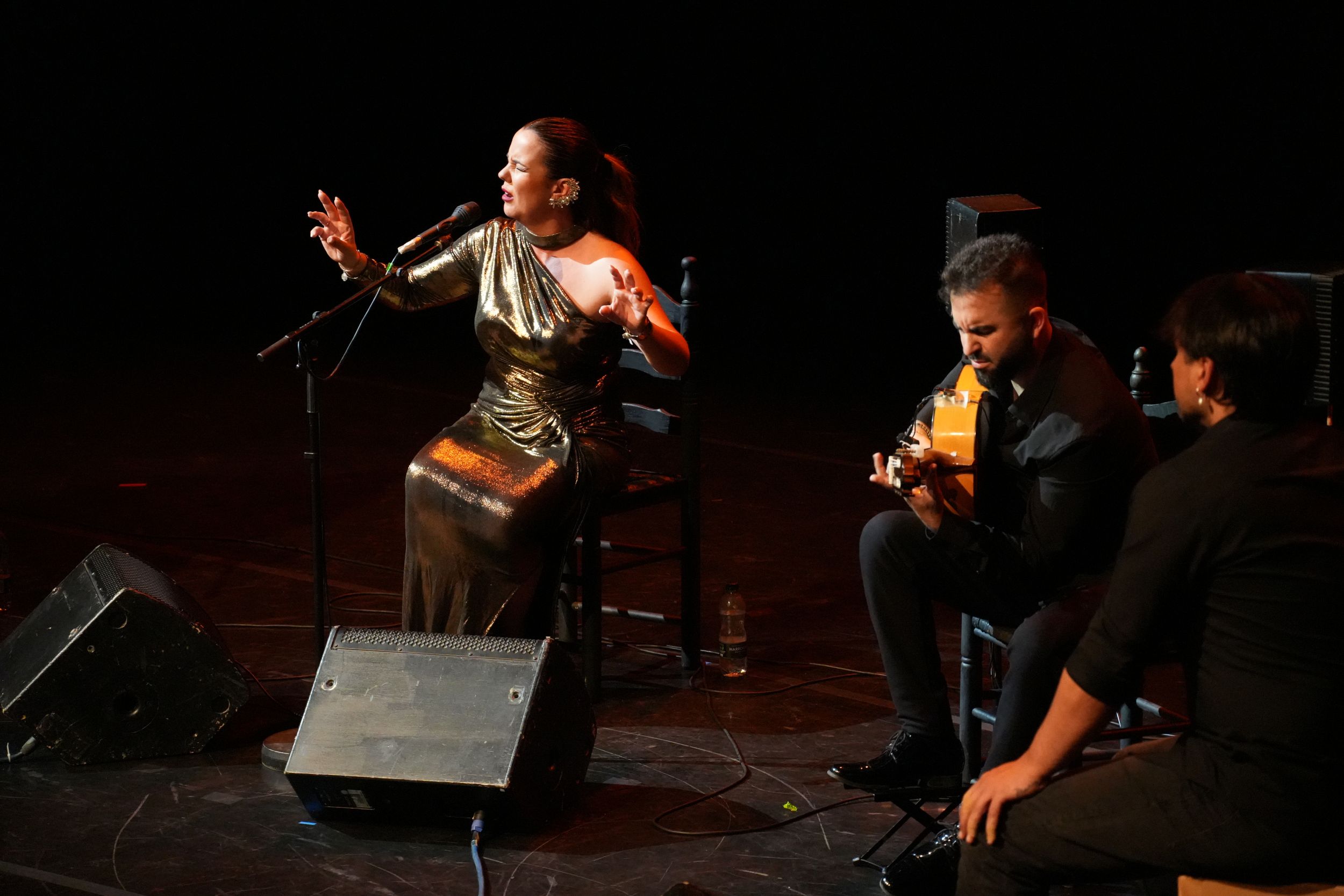 FLAMENCO FESTIVAL DE LONDRES
