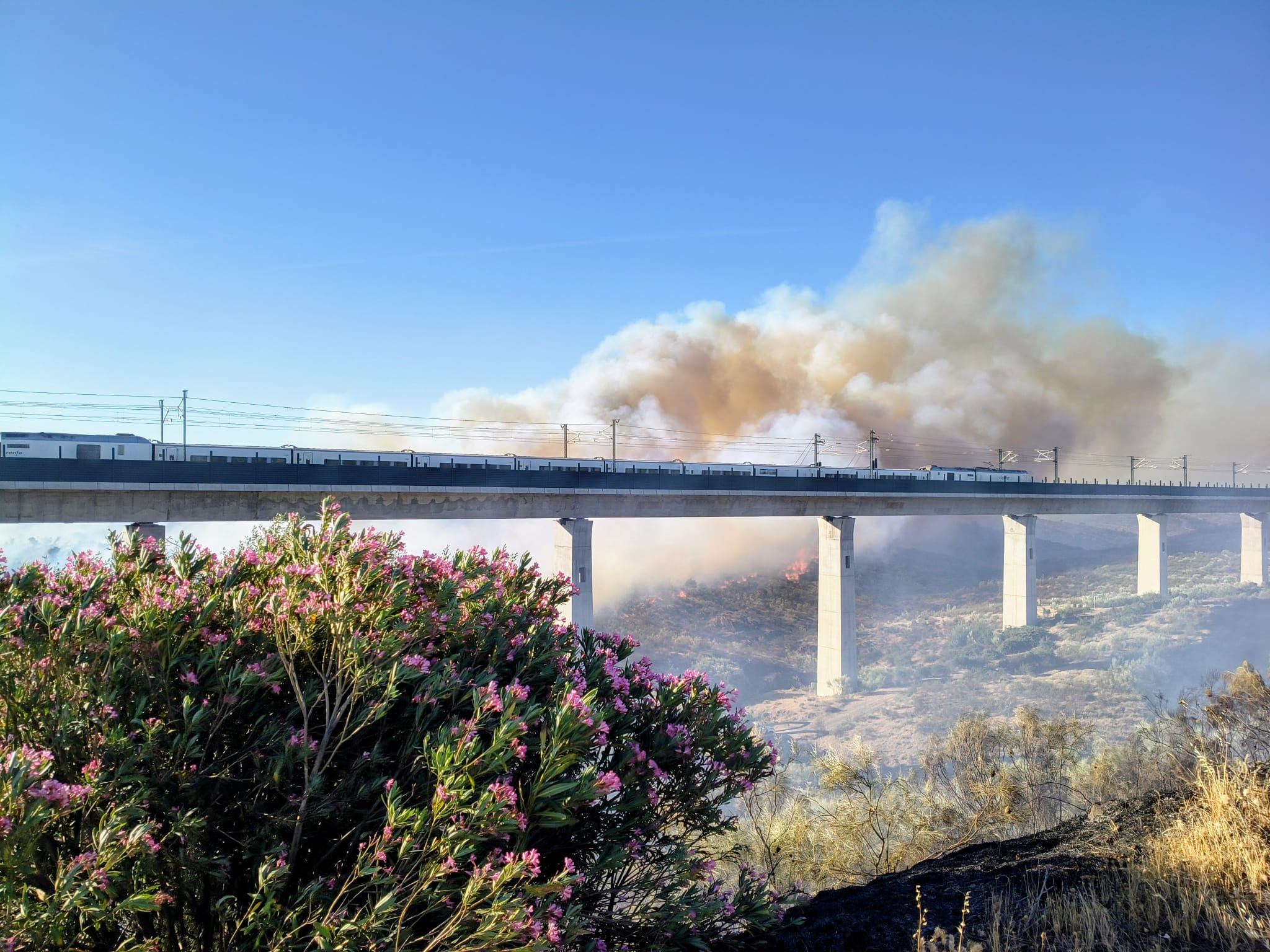 Incendio en Cañaveral