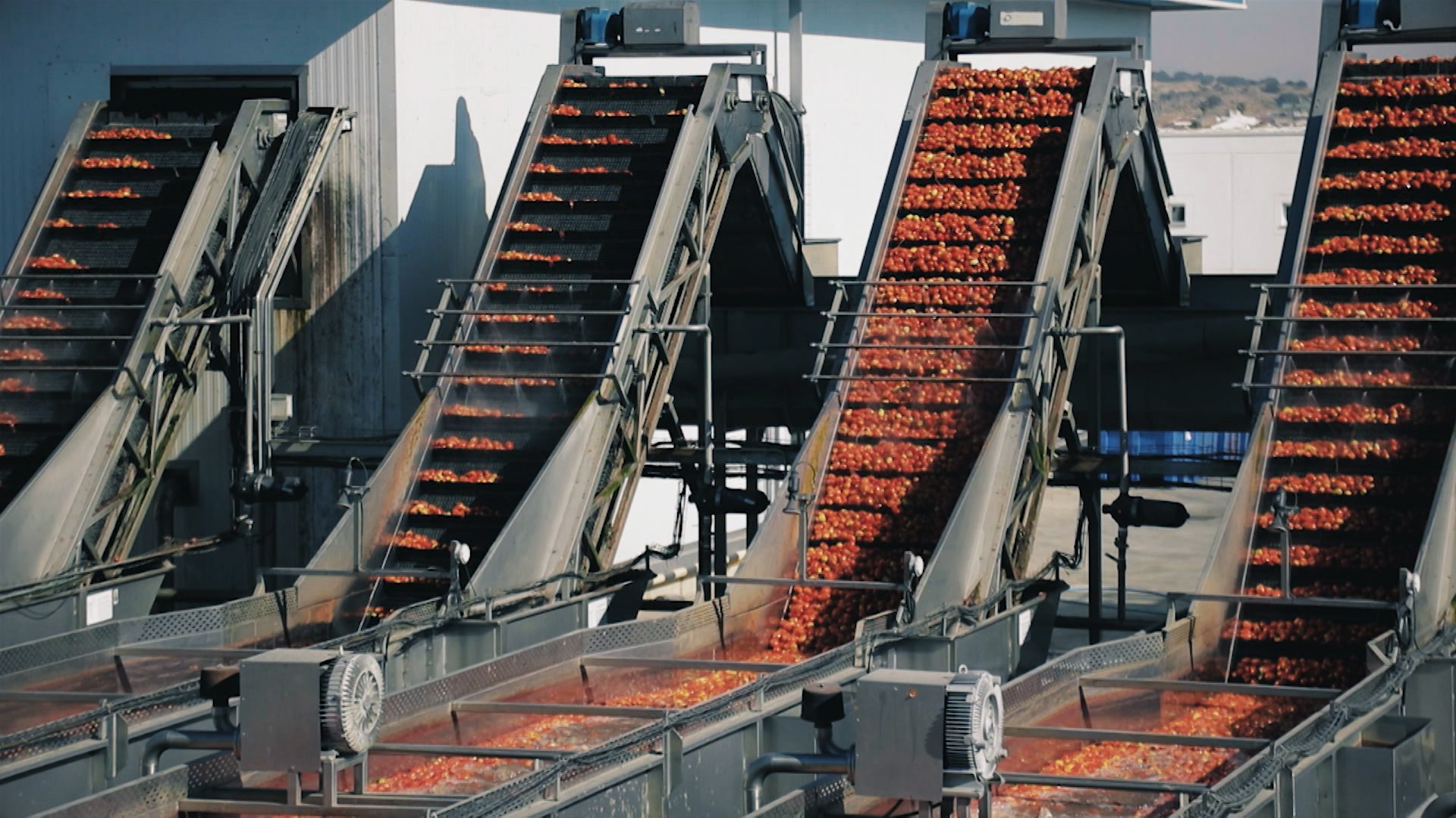 Fabrica transformadora de tomate de industria