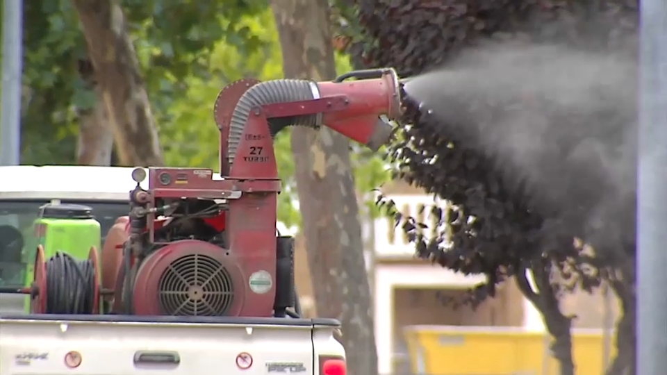 Vegas Altas activa el plan contra los mosquitos