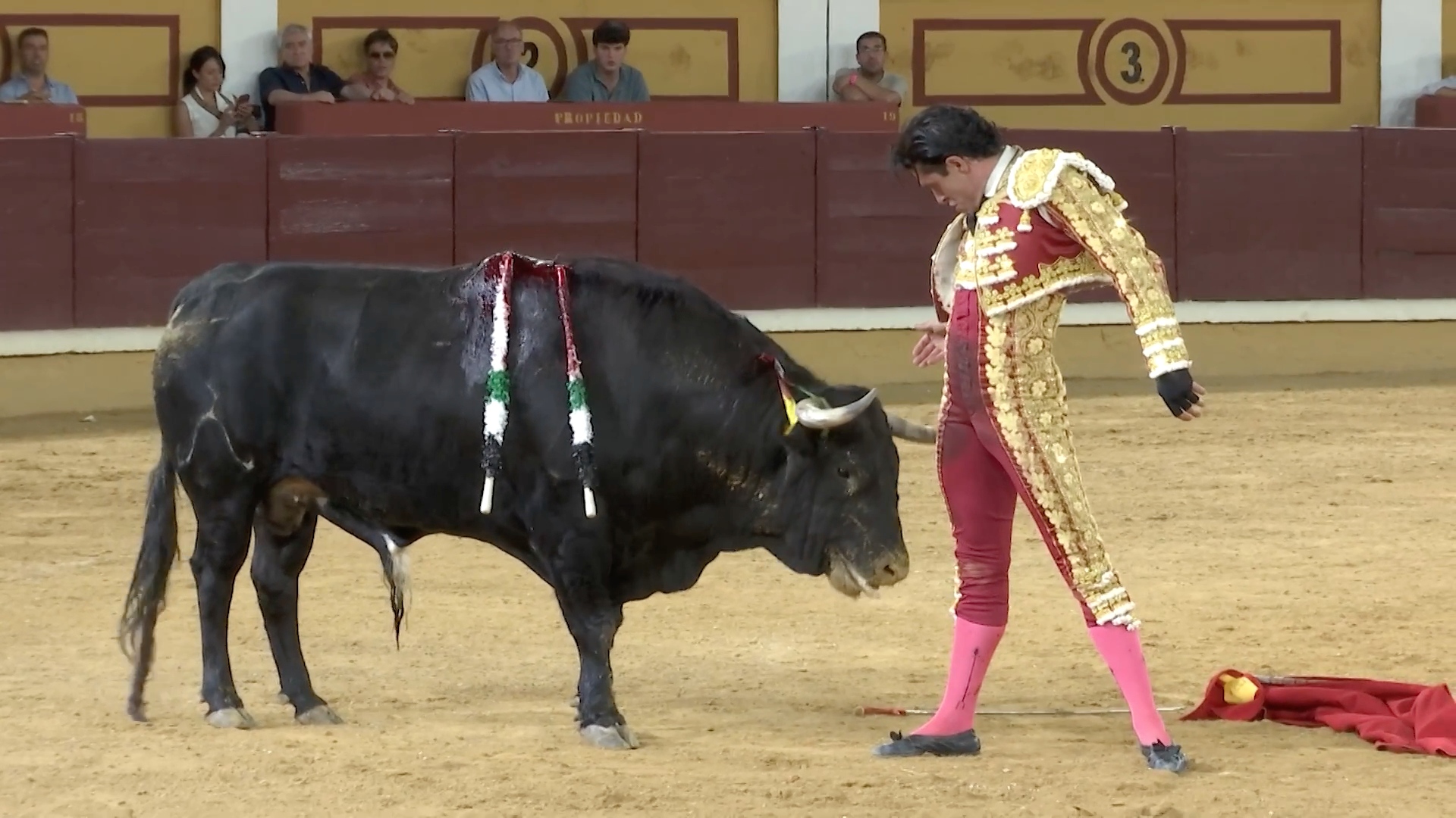 Talavante, Tierra de Toros, Canal Extremadura, Juan Bazaga