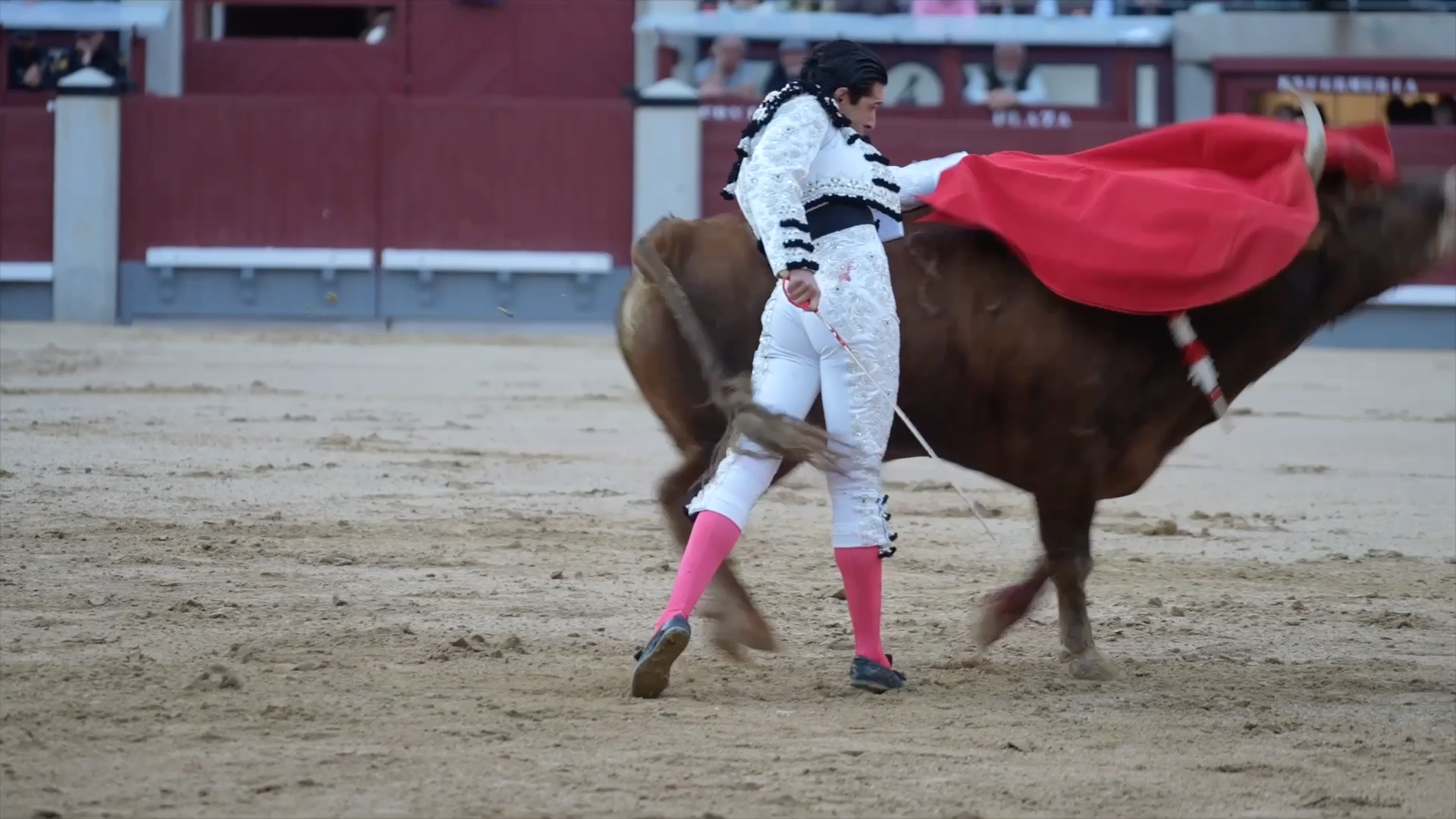 Triunfadores San Isidro, Tierra de Toros, Canal Extremadura, Juan Bazaga