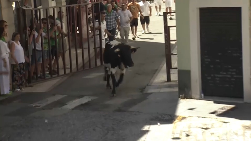 Moraleja honra a San Buenaventura con fe y tradición taurina
