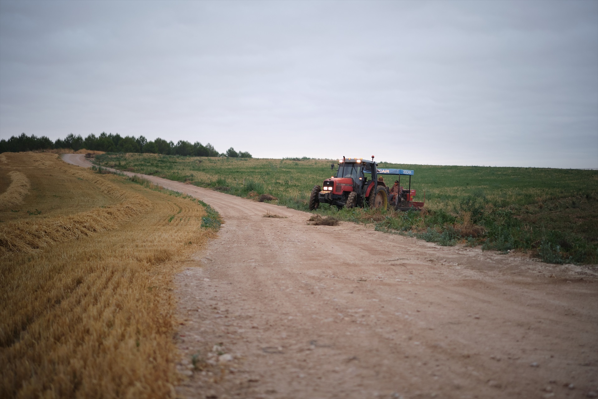 AGRICULTURA