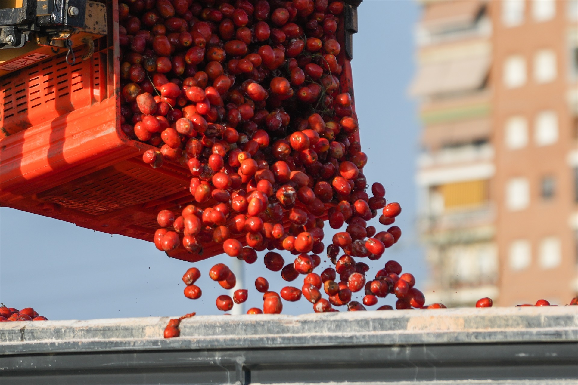 AGRICULTURA