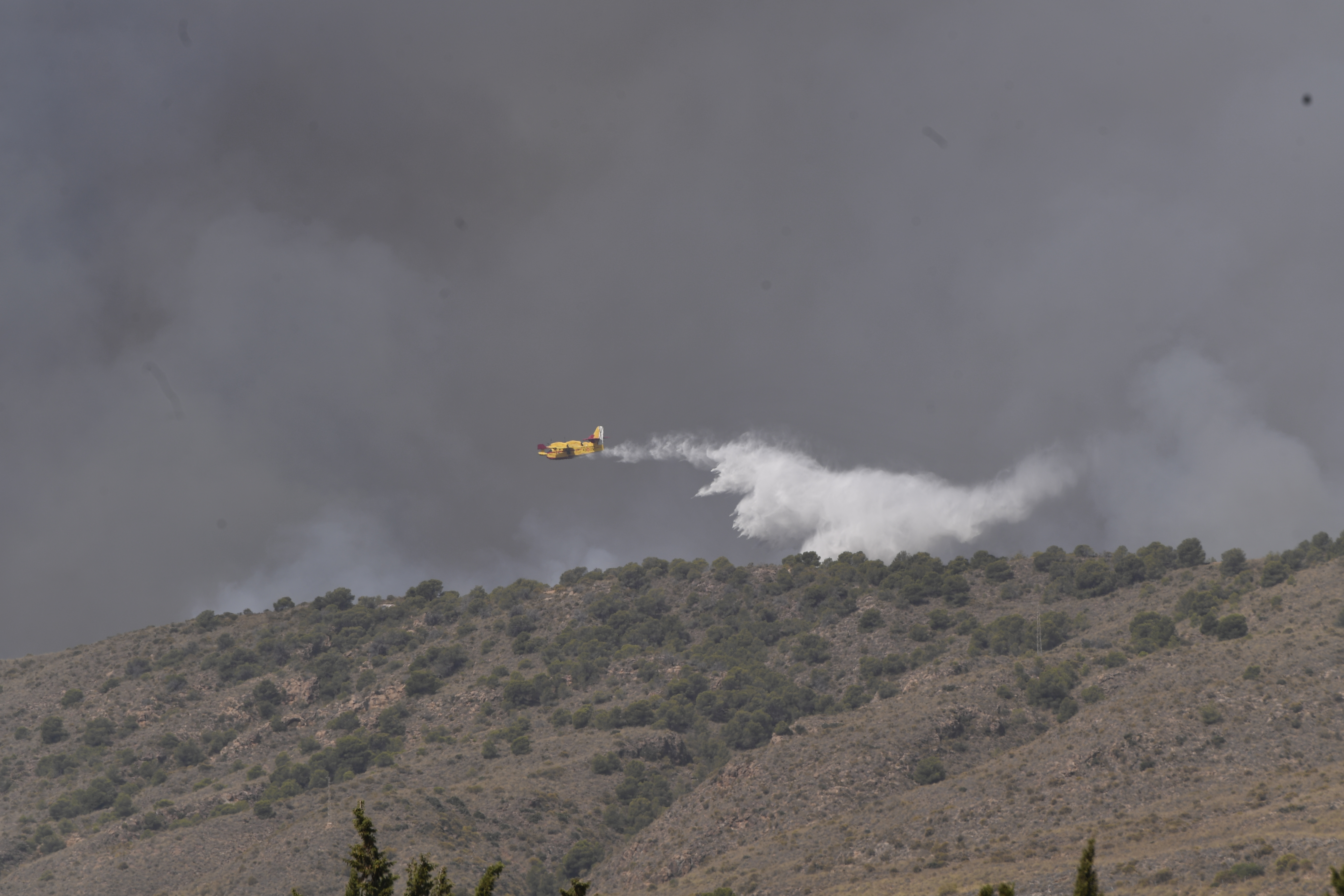 Incendio forestal en Los Gallardos, Almería