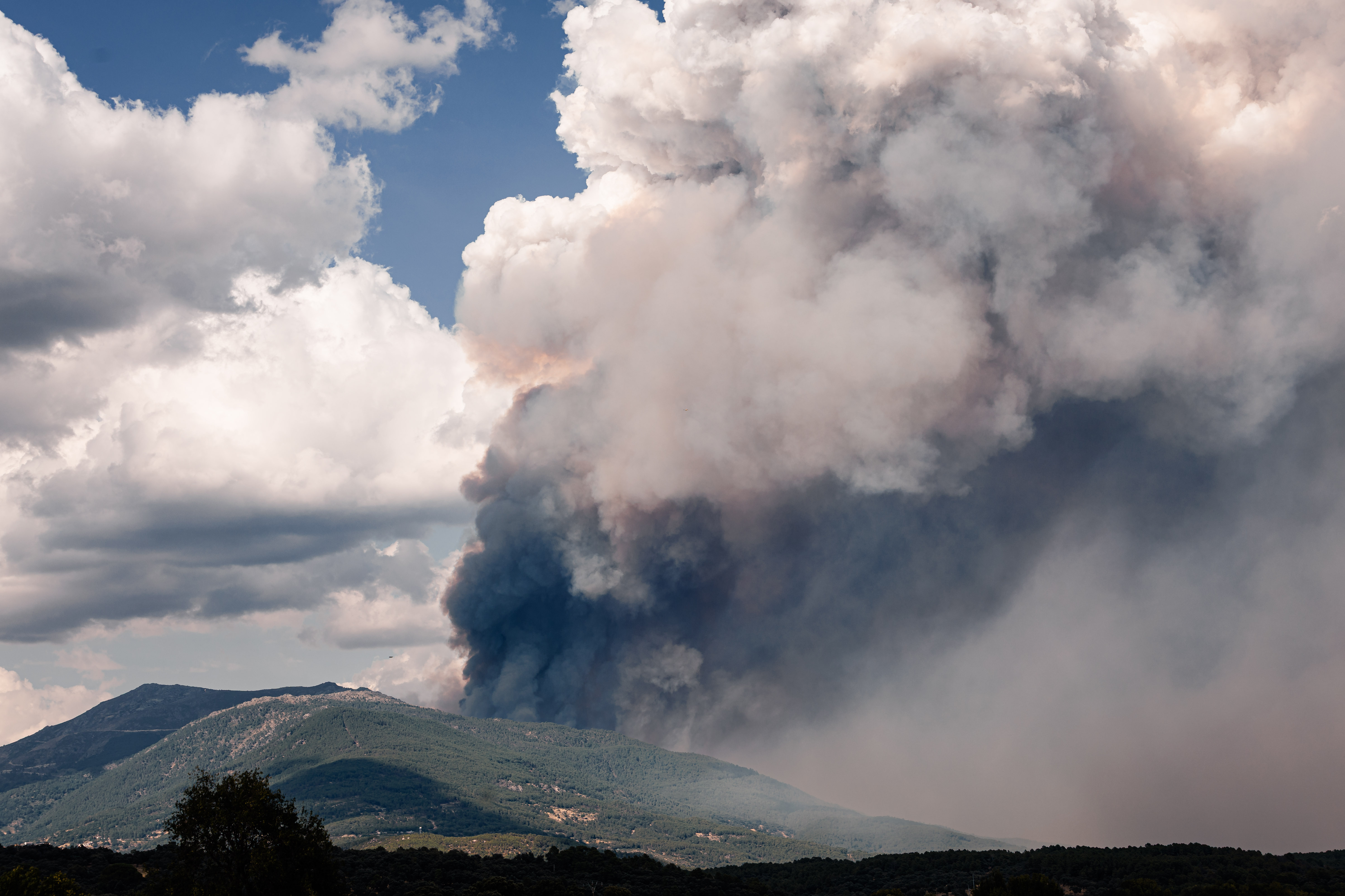 Incendio forestal