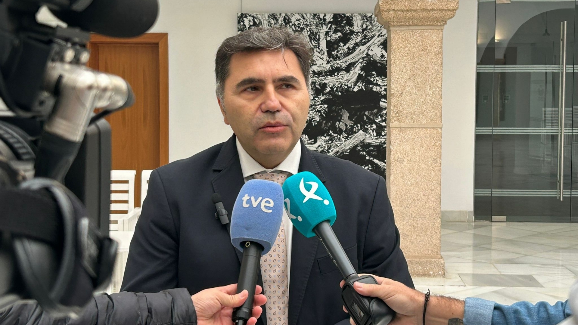 Jesús Vilés, exdirector gerente del SES