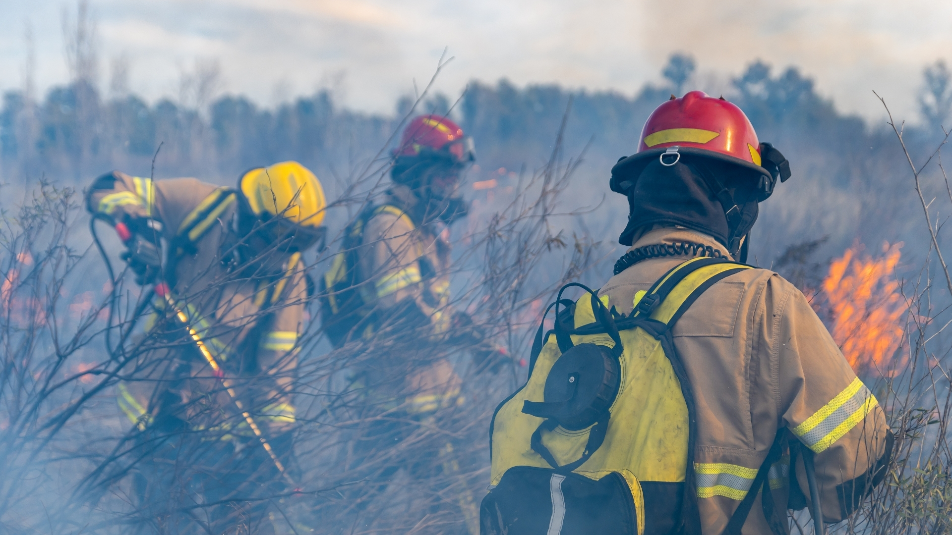 Incendio Forestal
