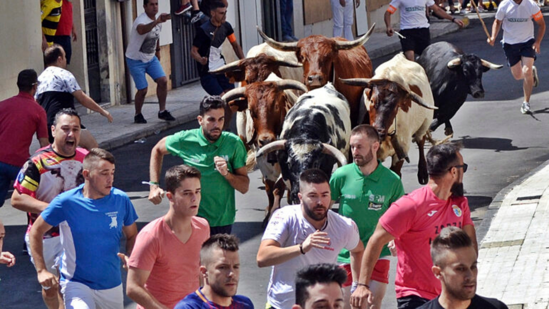 Encierro. Moraleja. Cáceres