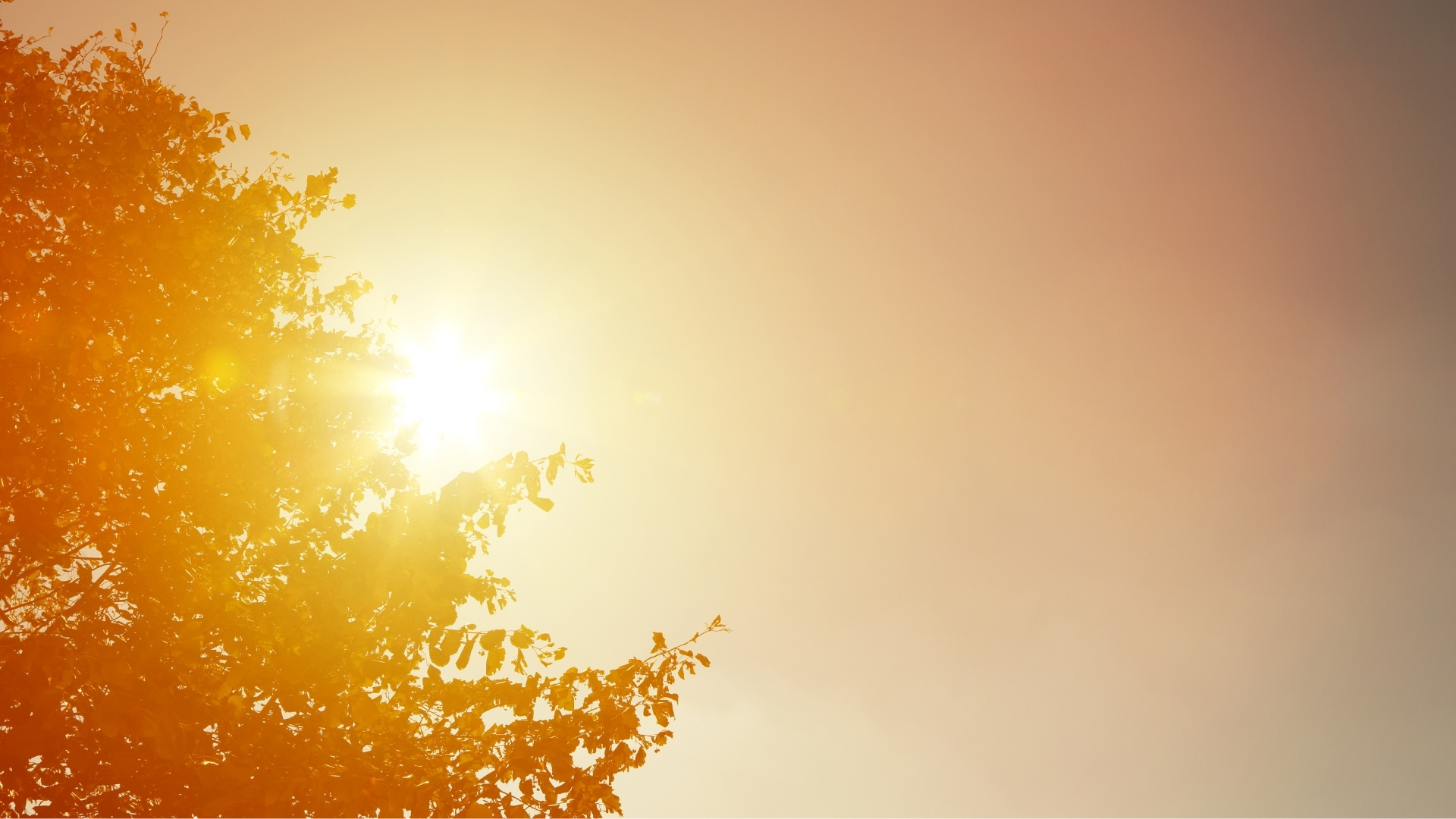 Calor en Extremadura
