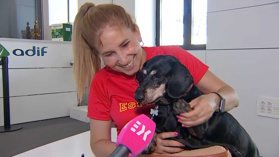 Un perro antes de entrar en el tren