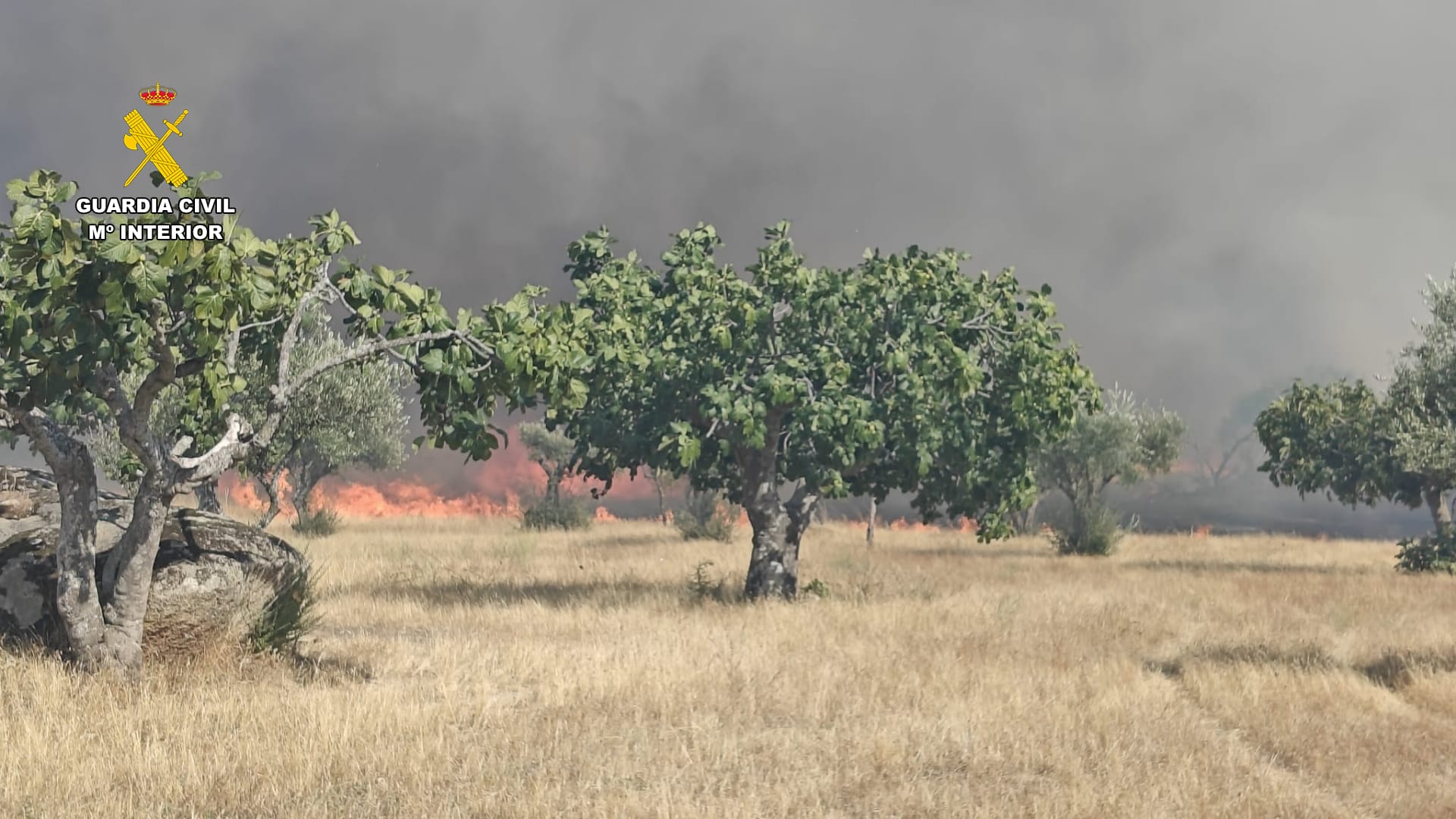 Incendio en Arroyo de la Luz