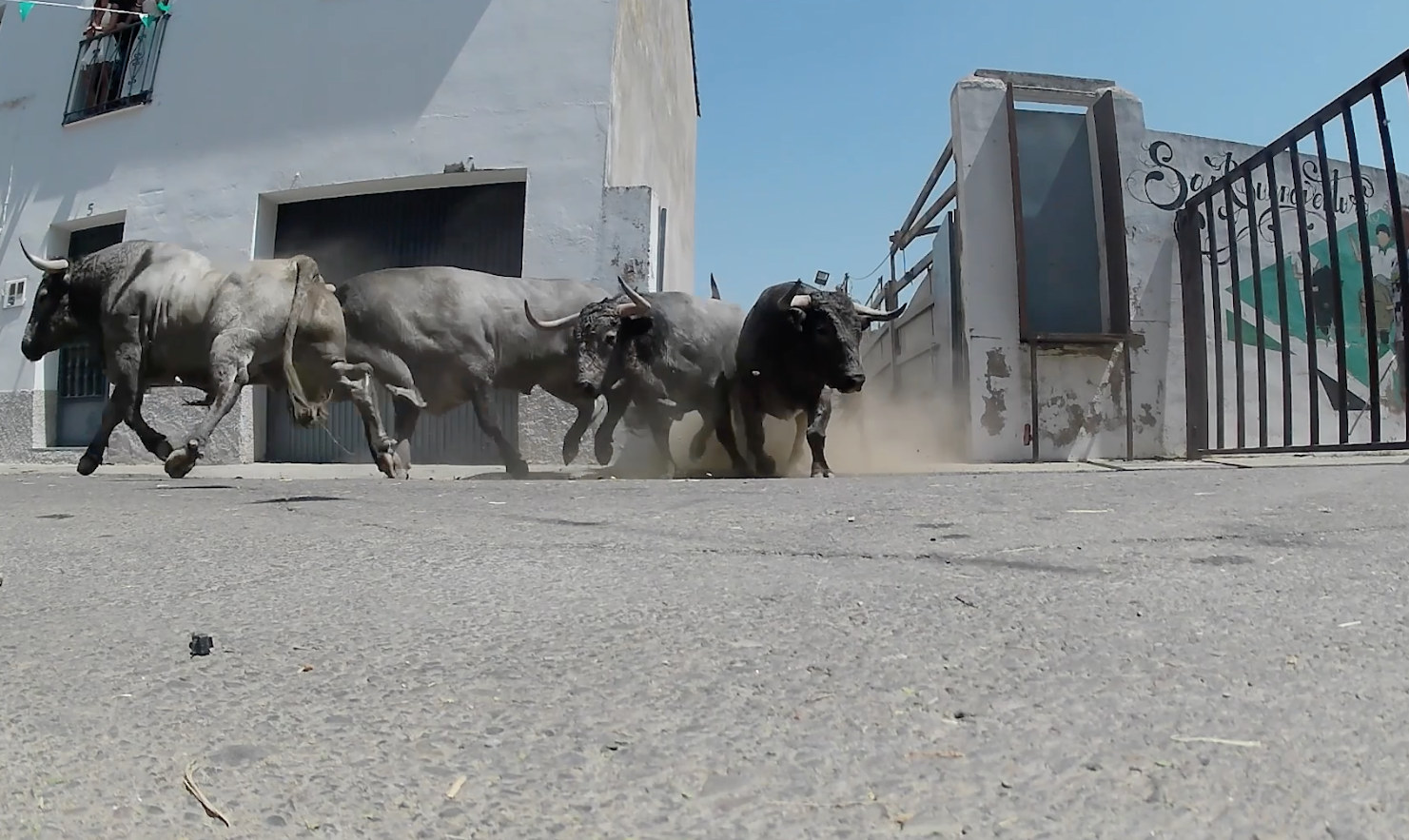 Encierro Adolfo, Moraleja, Tierra de Toros, Canal Extremadura, Juan Bazaga