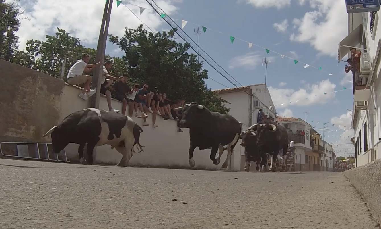 Monteviejo, Encierros Moraleja, Tierra de Toros, Canal Extremadura, Juan Bazaga