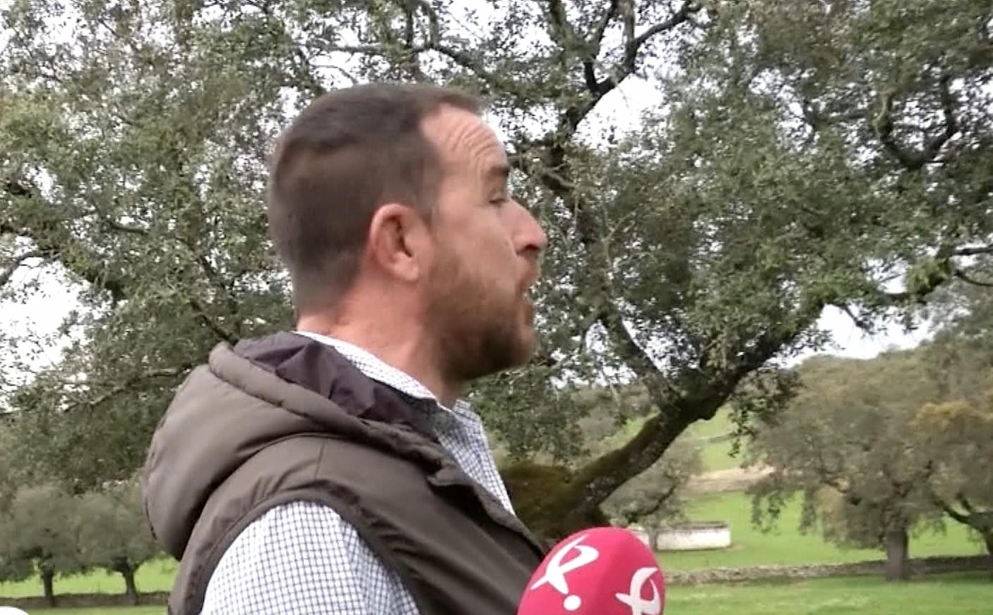 Esta tradición oral transmitida durante generaciones todavía sobrevive hoy en muchos rincones del campo extremeño