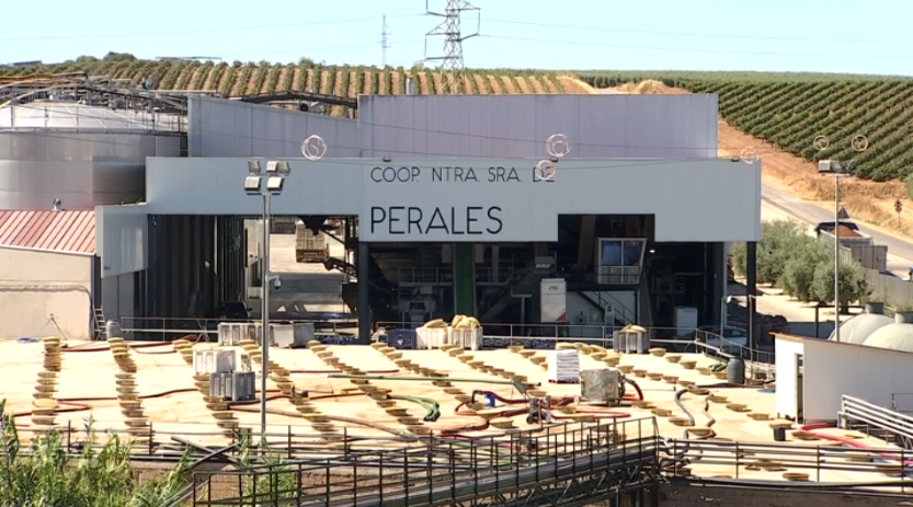 Cooperativa Nuestra Señora de Perales