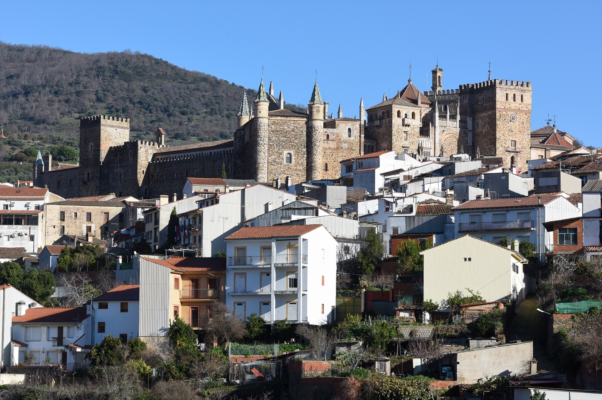 Un proyecto que busca mano de obra extranjera para el medio rural de Cáceres recibe más de mil solicitudes