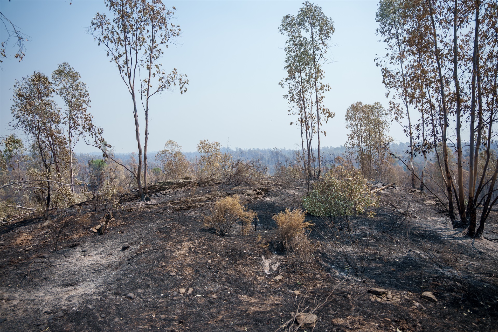 INCENDIOS