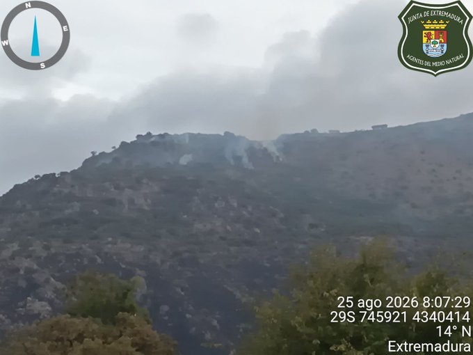 Estabilizado el incendio forestal declarado en Arroyomolinos